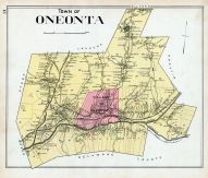 Oneonta Town, Otsego County 1903